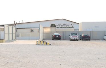 Agrico The Story Behind Featured Image