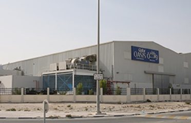 Qatar Oasis featured Image